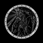 SKOLL T-SHIRT - POCKET PRINT | BACK PRINT